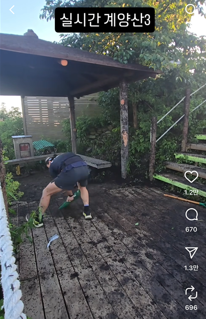 러브버그 계양산 떼출몰&amp;#44; 계단과 정자에 대규모 출몰