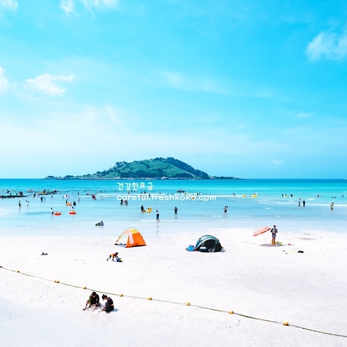 제주도 여행코스 2박3일