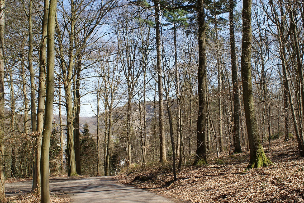 수원 일월수목원 입장료 할인 주차