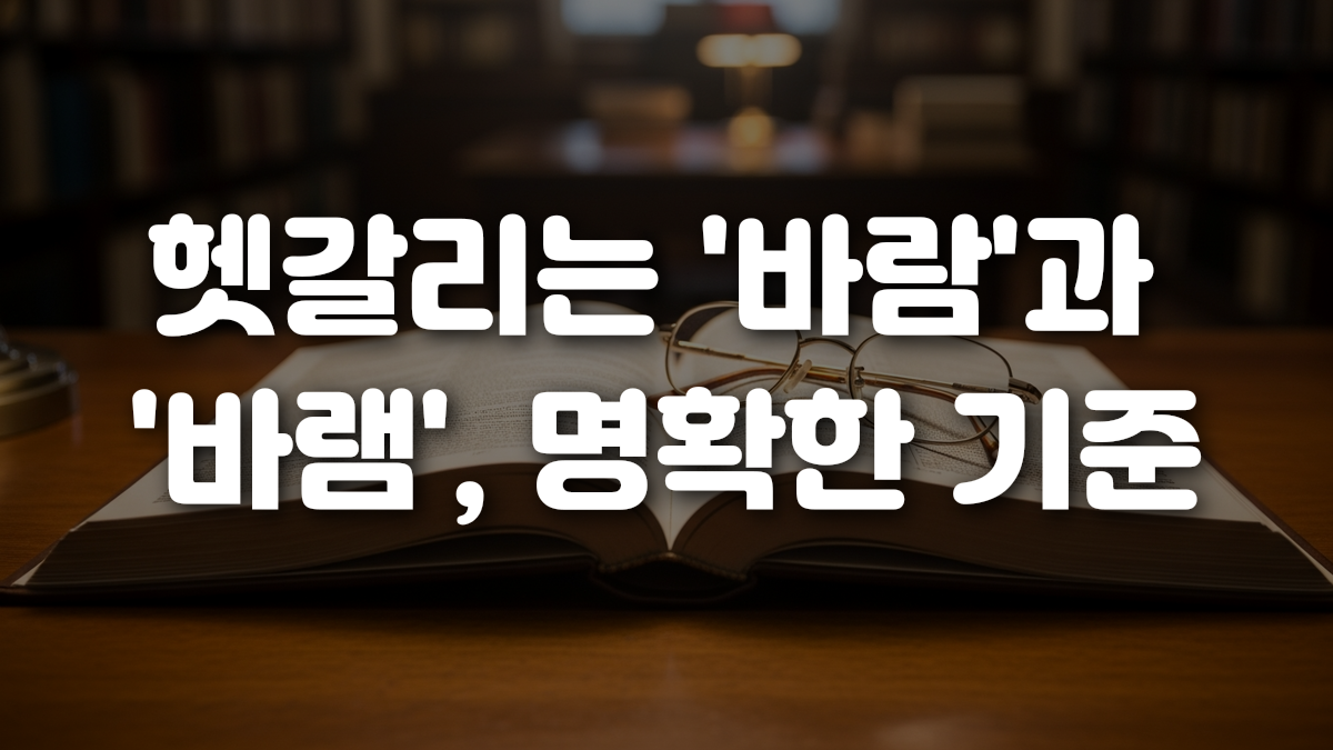 헷갈리는 바람 과 바램 명확한 기준