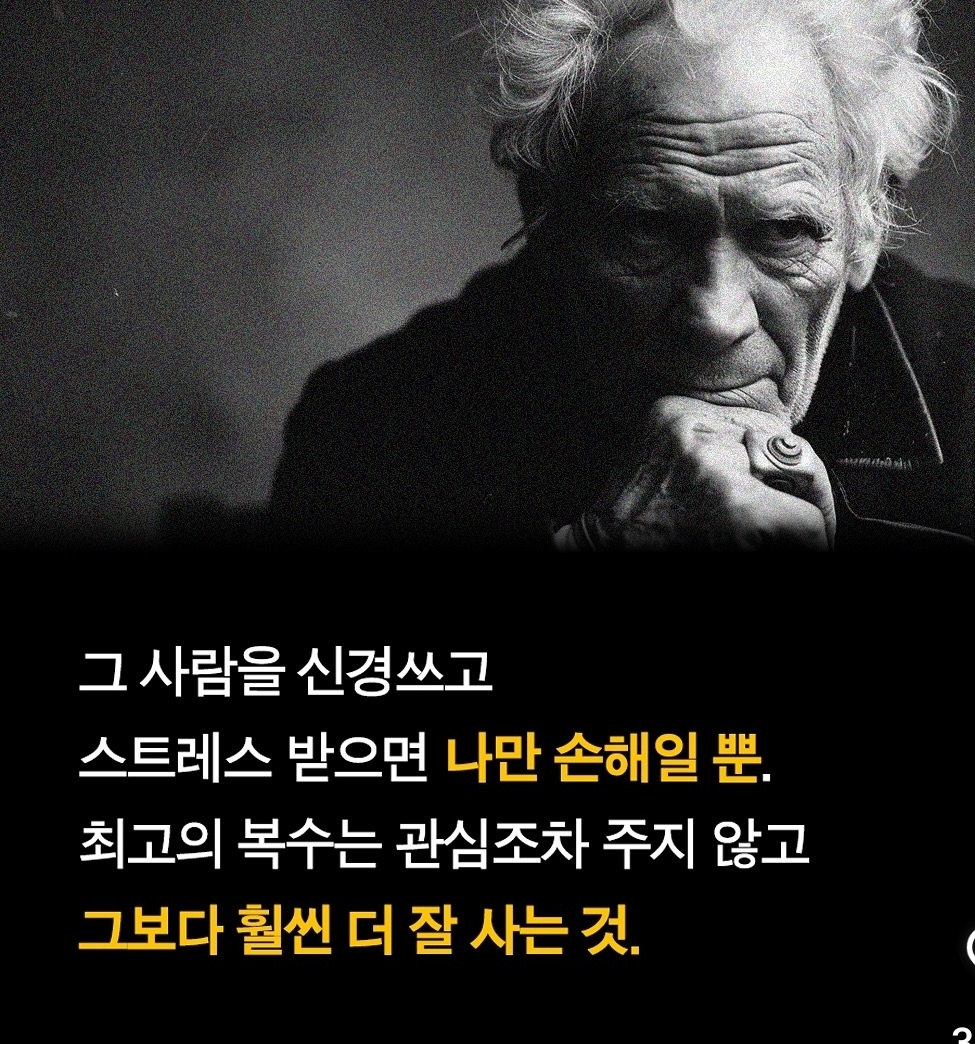 쇼펜하우어 '관심조차주지마라'