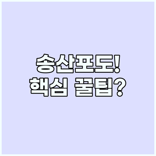 송산포도 산지 직송! 구매, 체험, ..