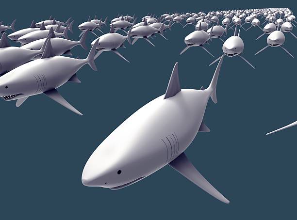 상어 떼 꿈 해몽