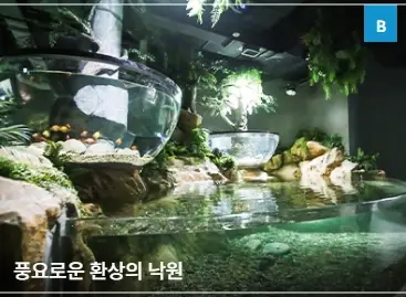 대전-신세계-아쿠아리움-입장료-할인-운영-시간