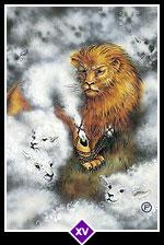 오쇼젠 카드 메이저 15번부터 17번 사진