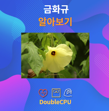 금화규 알아보기
