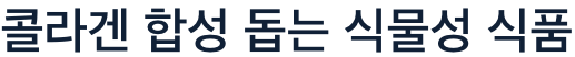 콜라겐 합성을 돕는 식물성 식품
