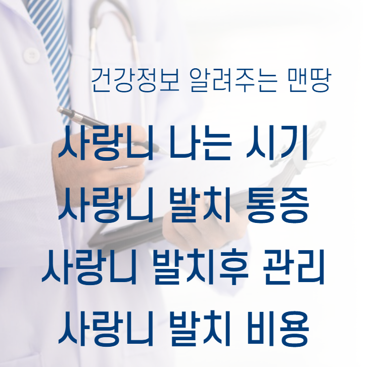 사랑니