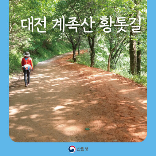 [명품숲길 50선] 숲속 음악회와 함께 즐기는 계족산 황톳길 트레킹