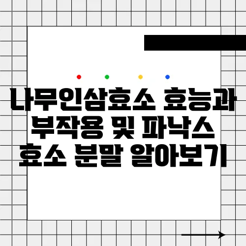 나무인삼효소 효능과 부작용 및 파낙스 효소 분말 알아보기