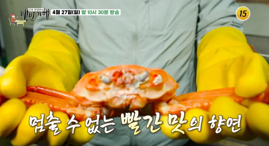백반기행 울진 붉은 대게 한 상