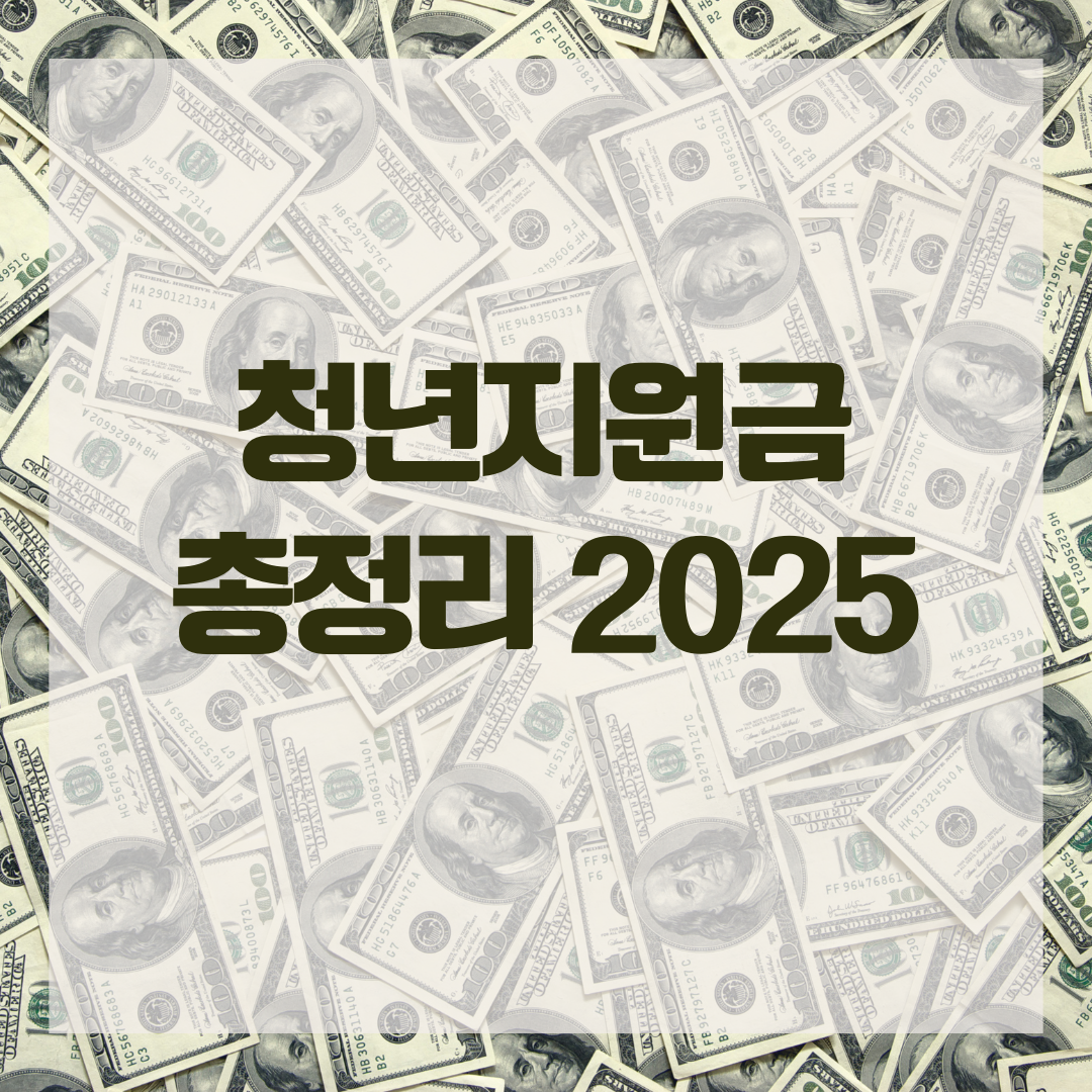 청년지원금 총정리 2025