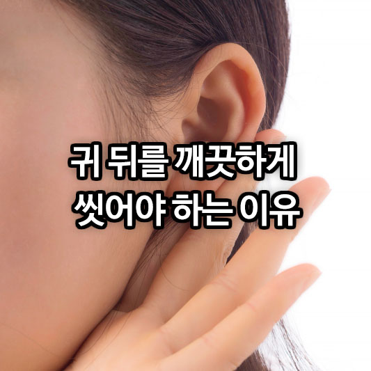 귀 뒤를 깨끗하게 씻어야 하는 과학적 이유와 건강 관리법
