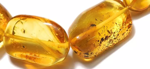 호박, 벌레가 들어 있는 보석