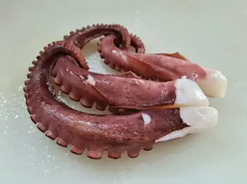 문어 가격 및 효능&amp;#44; 영양성분