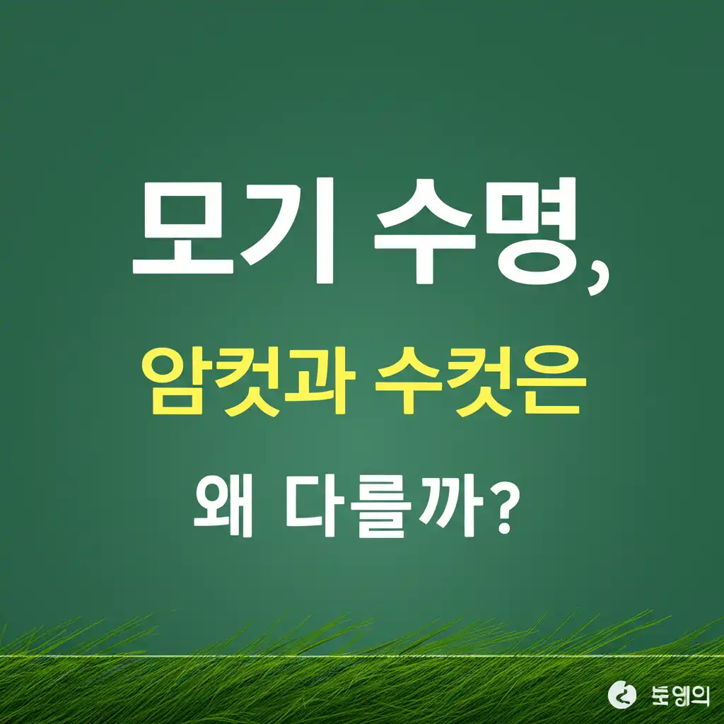 모기수명_mosquito-lifespan-facts