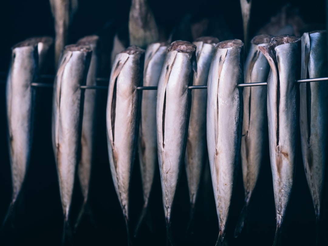 Grilled eel