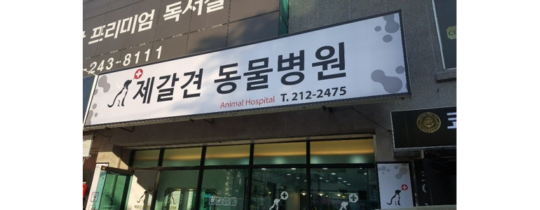 울산 중구 동물병원