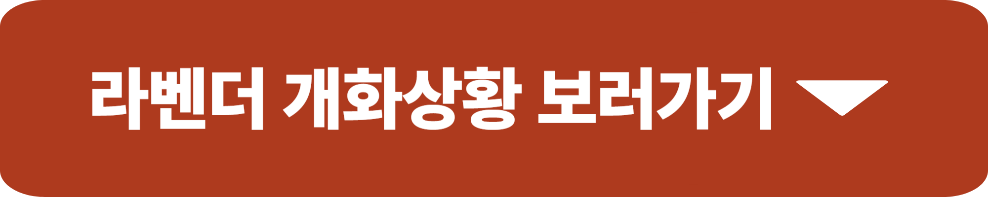 고창청농원 라벤더 축제