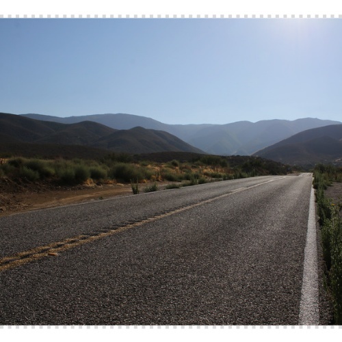 로드킬 사체처리 신고