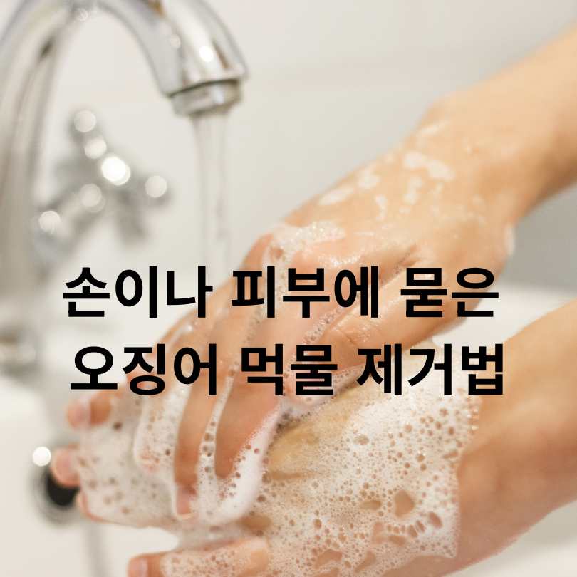 오징어 먹물 지우는 방법 총정리