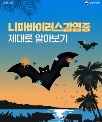 니파바이러스-과일박쥐이미지-출처:질병관리청