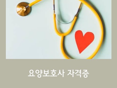 요양보호사