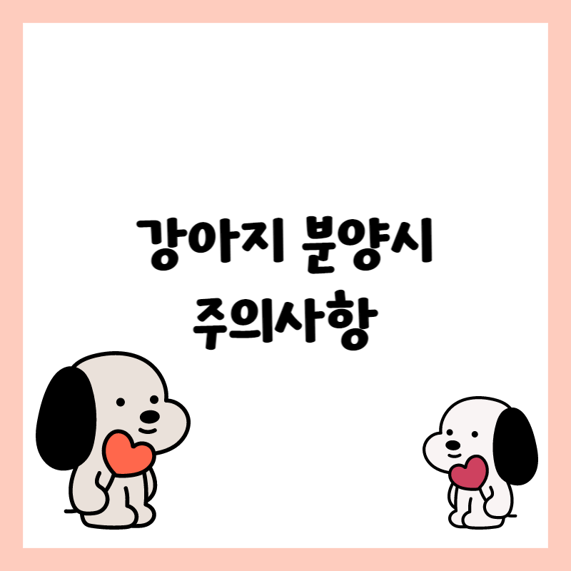 강아지 분양 주의사항