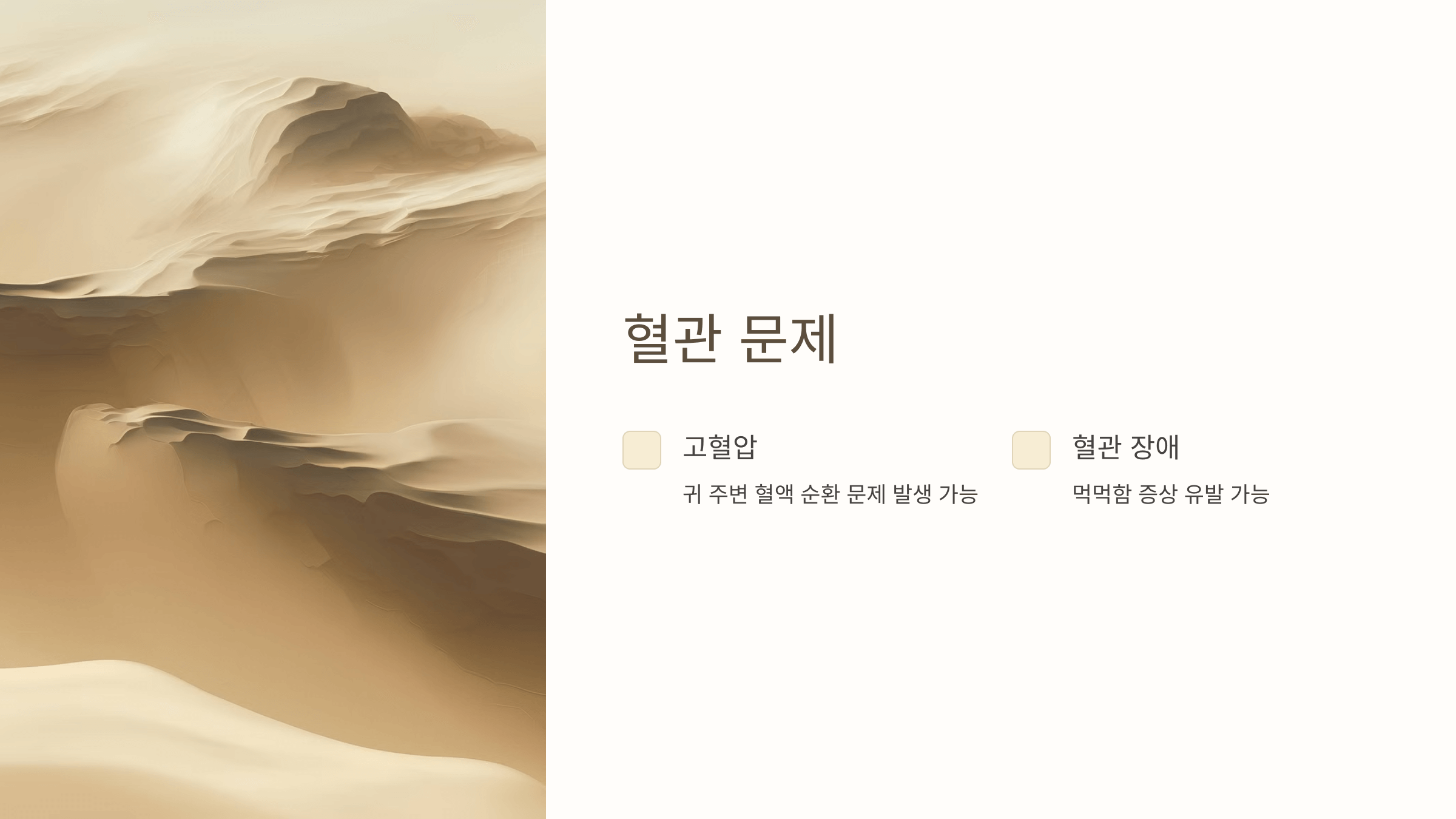 귀 사진입니다.