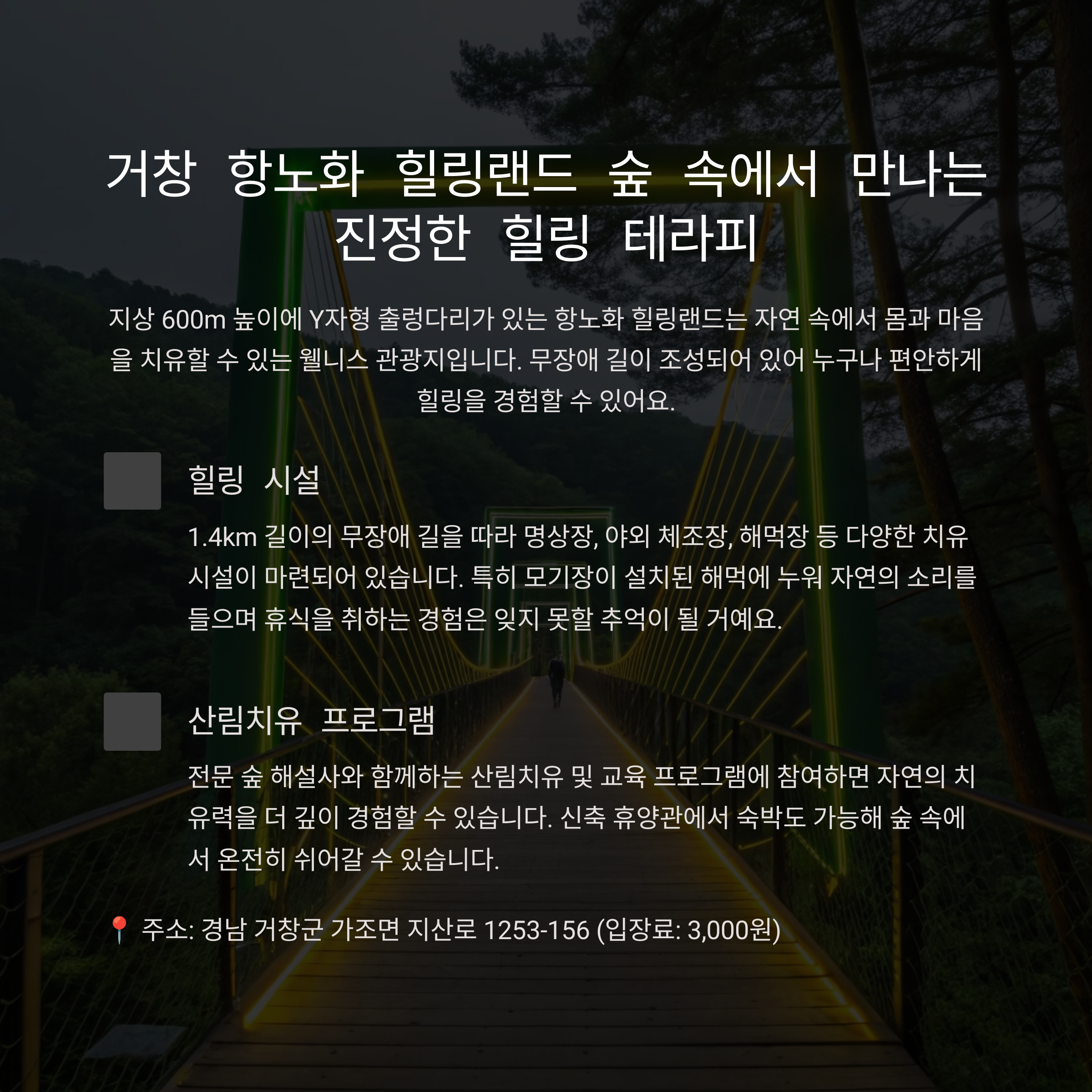 거창 항노화 힐링랜드: 숲 치유와 이색 체험