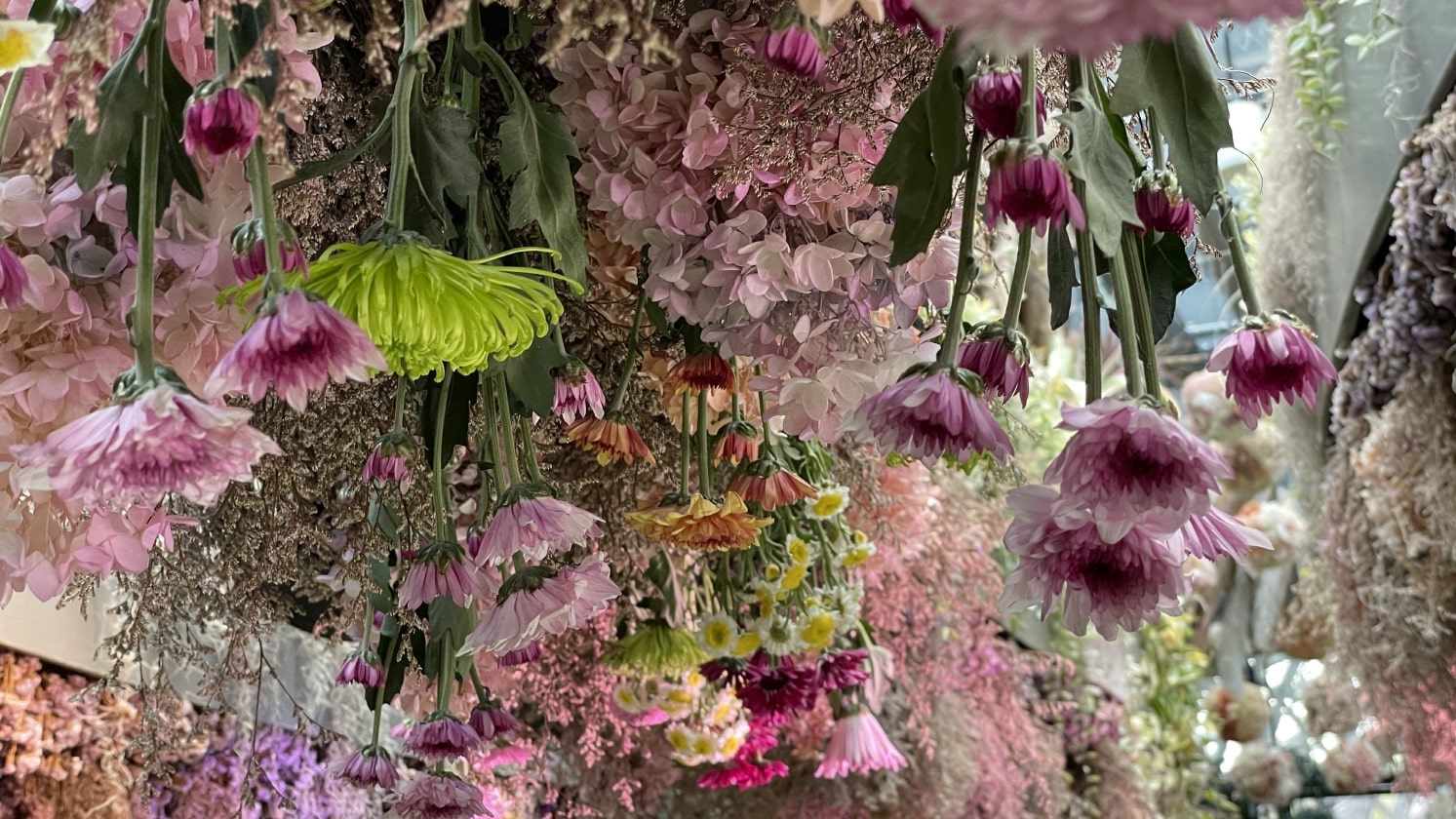 가든스 바이 더 베이 플로러 판타지