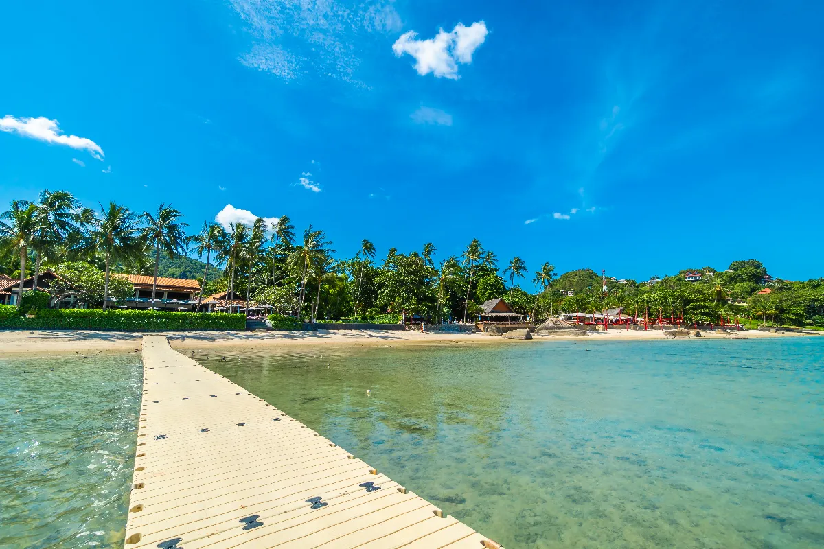 &lt;a href=&quot;https://kr.freepik.com/free-photo/beautiful-tropical-beach-sea-and-sand-with-coconut-palm-tree-on-blue-sky-and-white-cloud_4188185.htm#fromView=search&page=1&position=9&uuid=e357ff87-5921-4ae6-bce4-602995f3eaad&quot;&gt;작가 lifeforstock 출처 Freepik&lt;/a&gt;