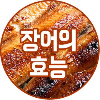 장어 효능 장어와 상극인 음식 건강 상식_11