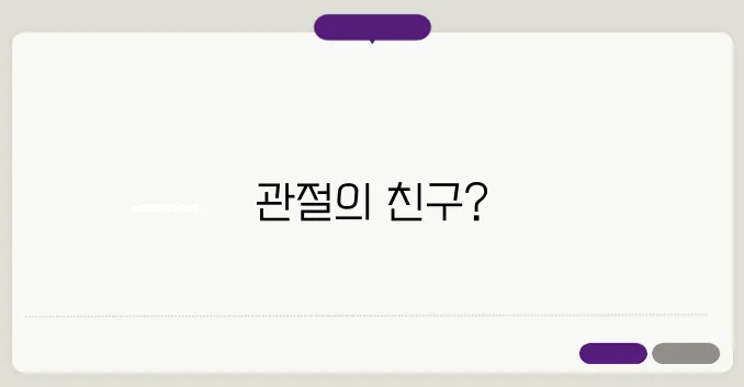 콘드로이친 1200mg 이보다 자세히 설명할순없다