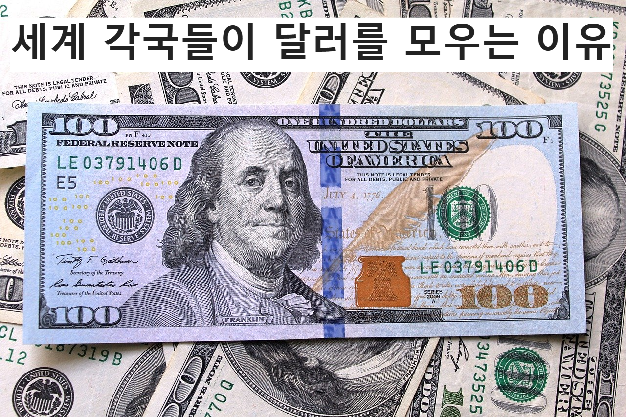 세계 각국들이 달러를 모우는 이유