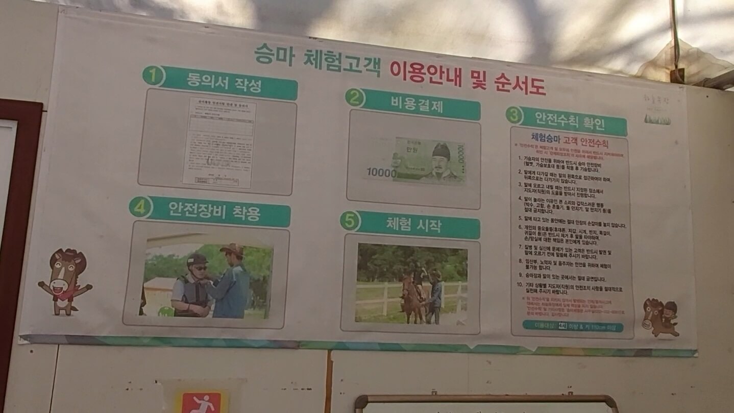 승마이용안내