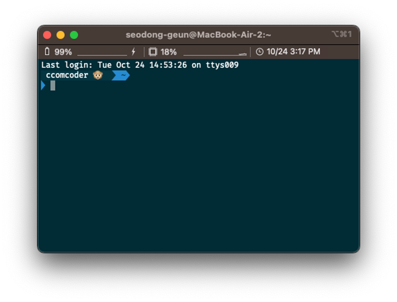 터미널 실행 화면