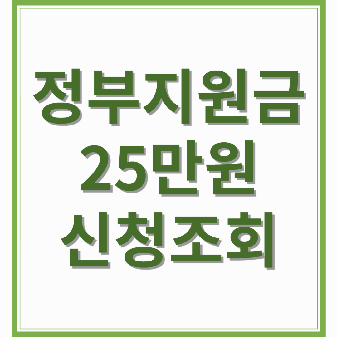 정부지원금 25만원신청 조회