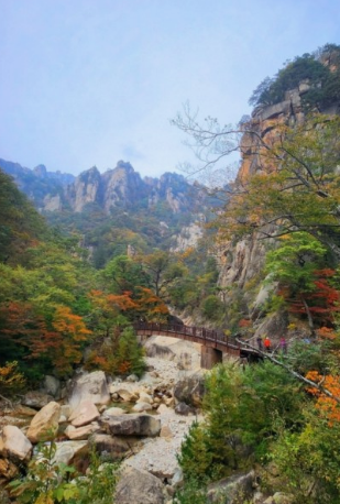 11월 단풍축제 가볼만한곳 BEST 10