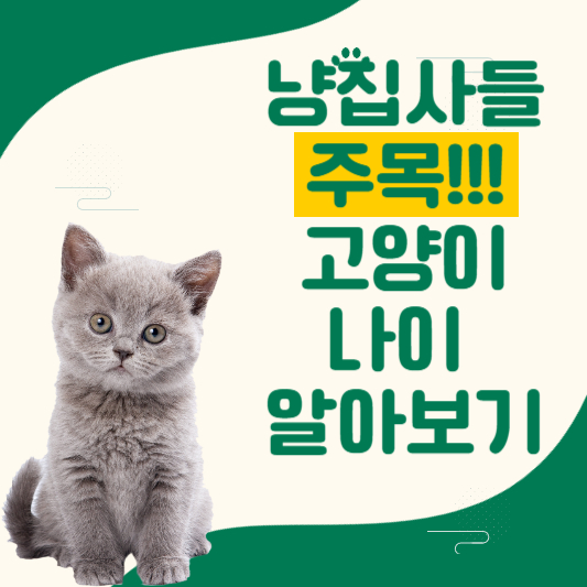고양이 나이 알아보기