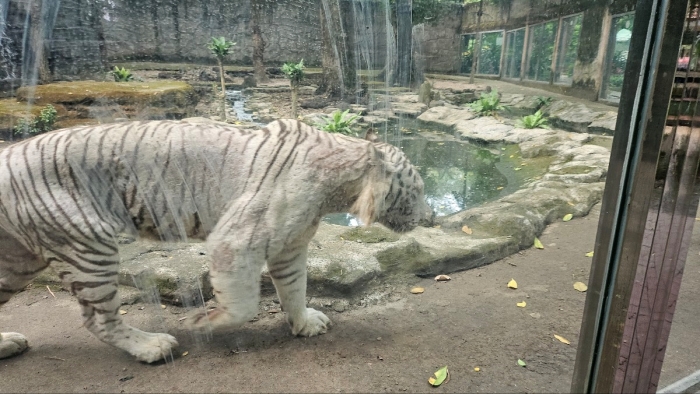 사이공동식물원7