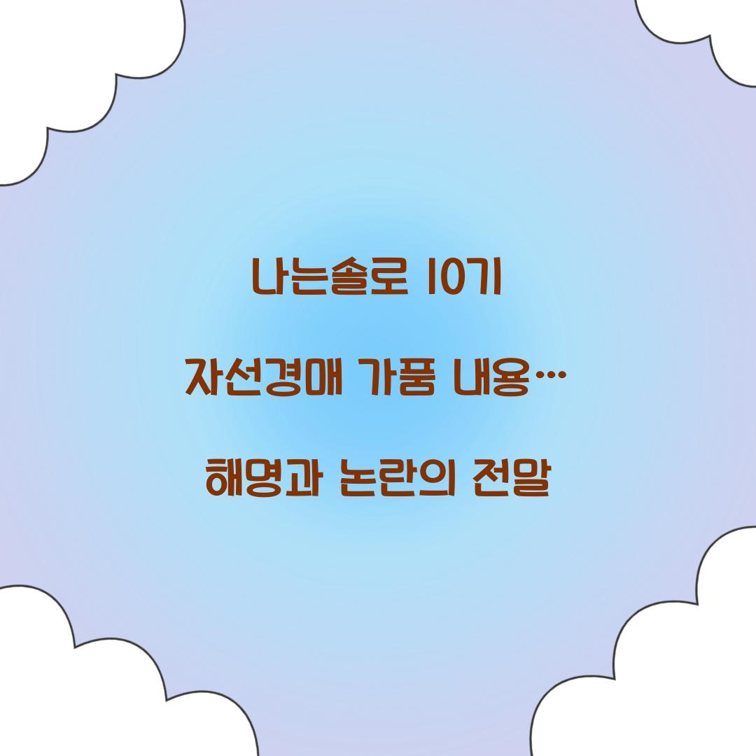 나는솔로 10기 자선경매 가품 내용