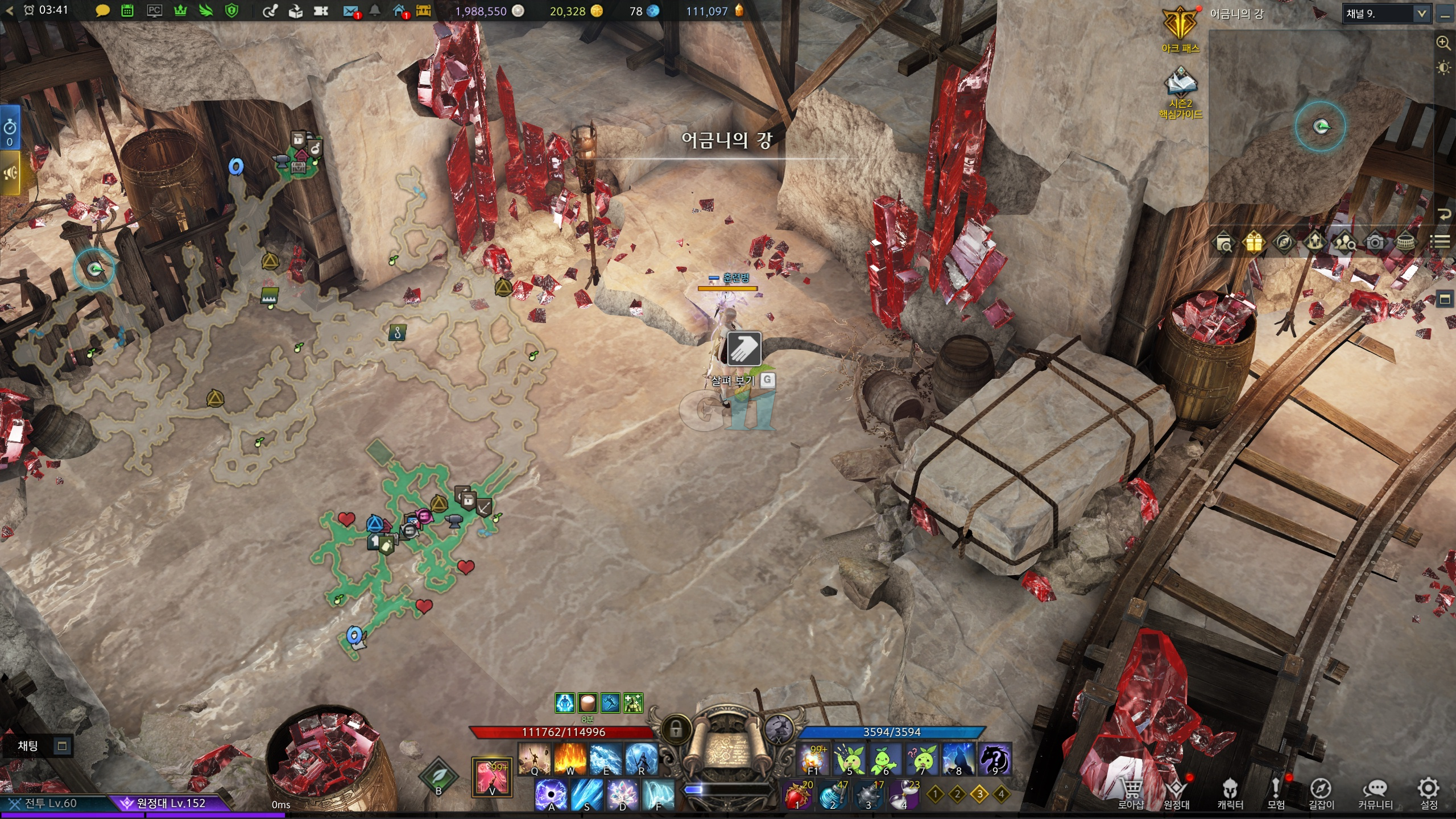 어금니의강 모코코