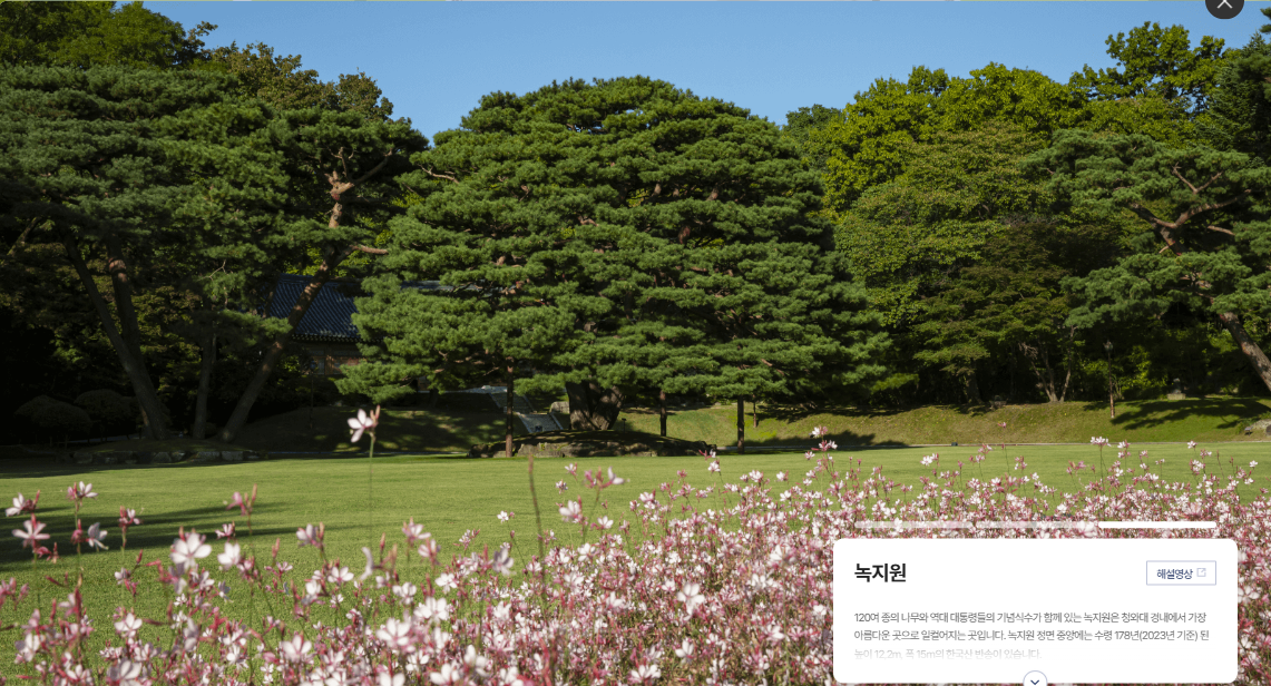 청와대 관람신청