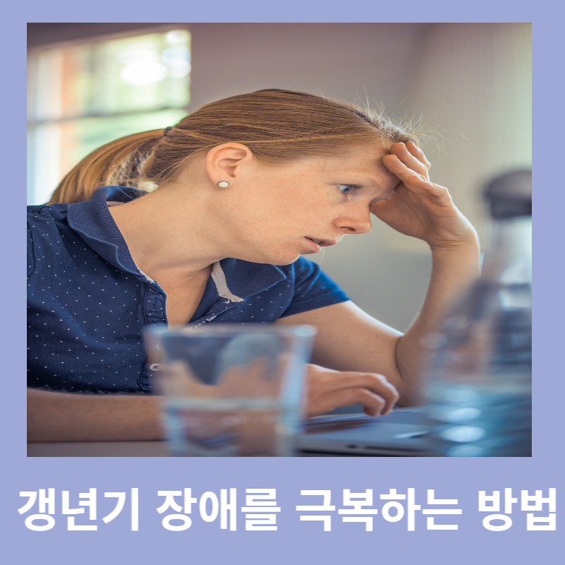 갱년기 장애