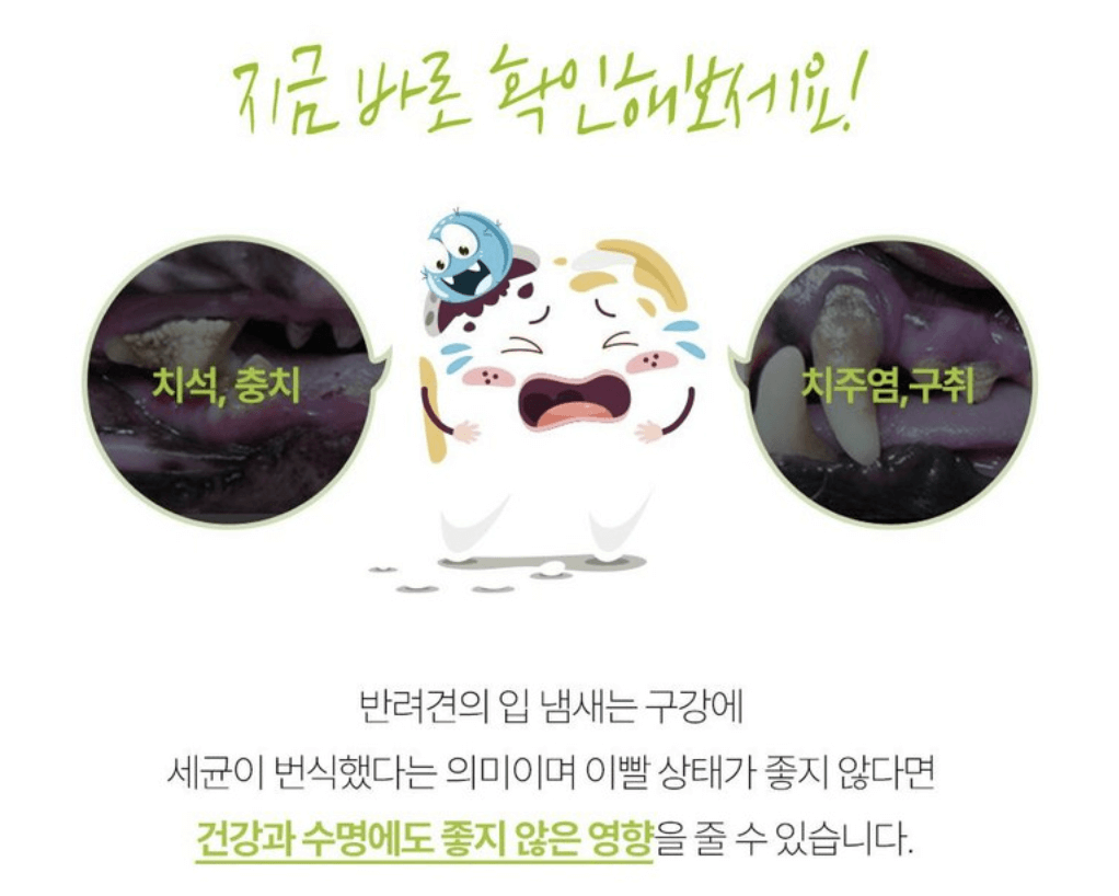 강아지 치석제거 카누들과 덴탈뉴트리냠냠 비교 및 구매정보