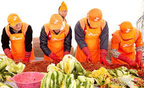 2023 김장 절임 배추 사전 예약 할인가 추천과 가격 비교하기