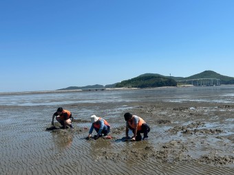 갯벌체험