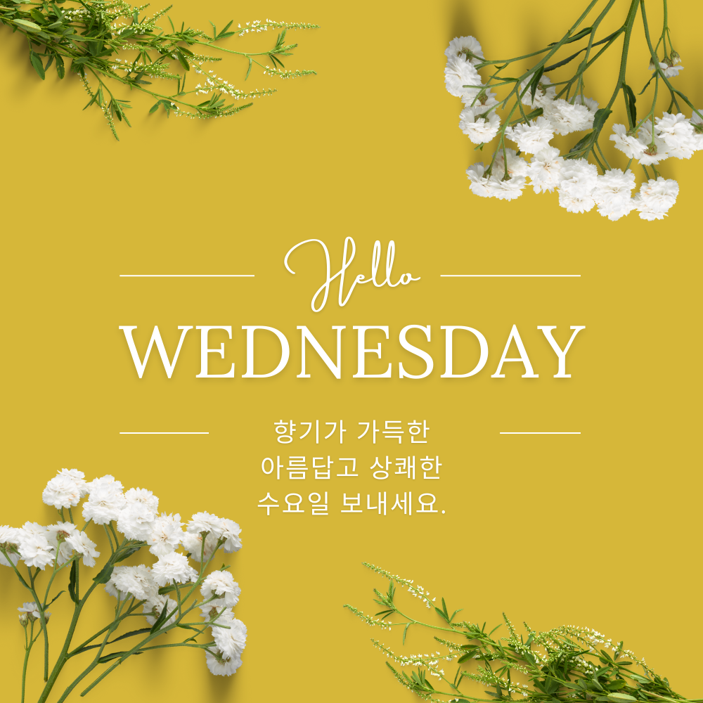수요일 아침 인사말 문구 이미지 모음