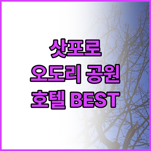 삿포로 오도리 공원 근처 호텔 추천 ..